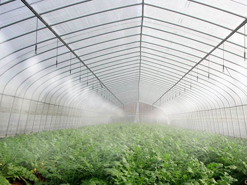 现代化蔬菜温室大棚建设