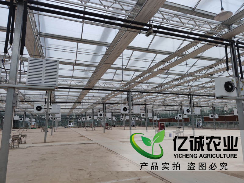 智能玻璃蔬菜温室大棚在陕西西安