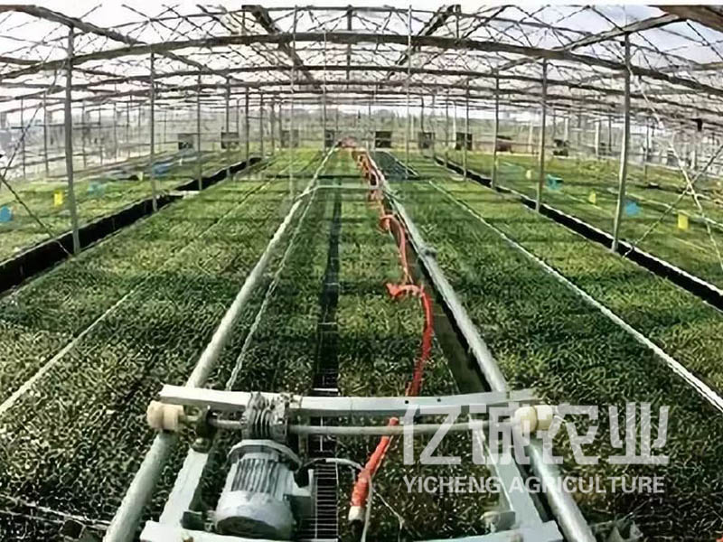蔬菜温室大棚智能灌溉系统