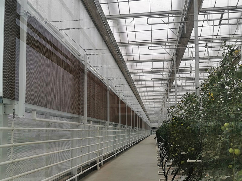 荷兰玻璃农业温室大棚