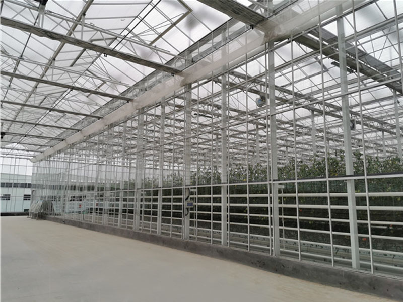 荷兰现代化农业种植温室